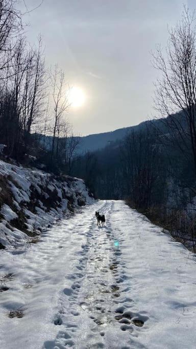 Little Canadian Lodge, Limone リモーネ・ピエモンテ エクステリア 写真