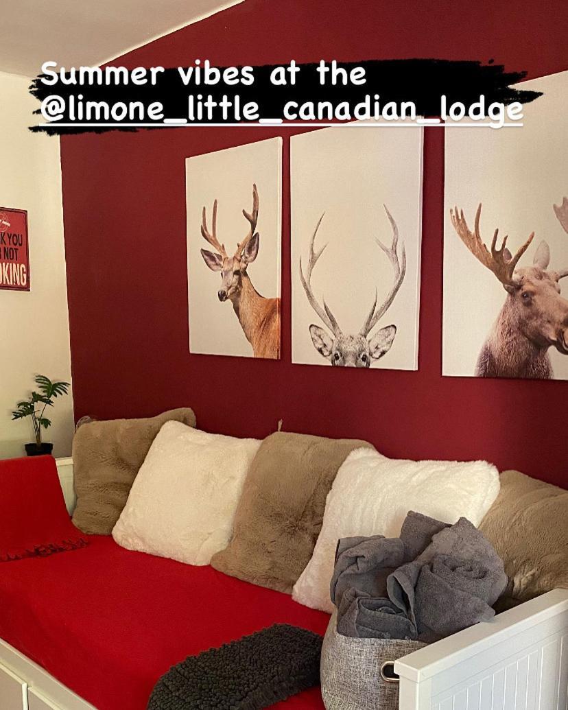 Little Canadian Lodge, Limone リモーネ・ピエモンテ エクステリア 写真